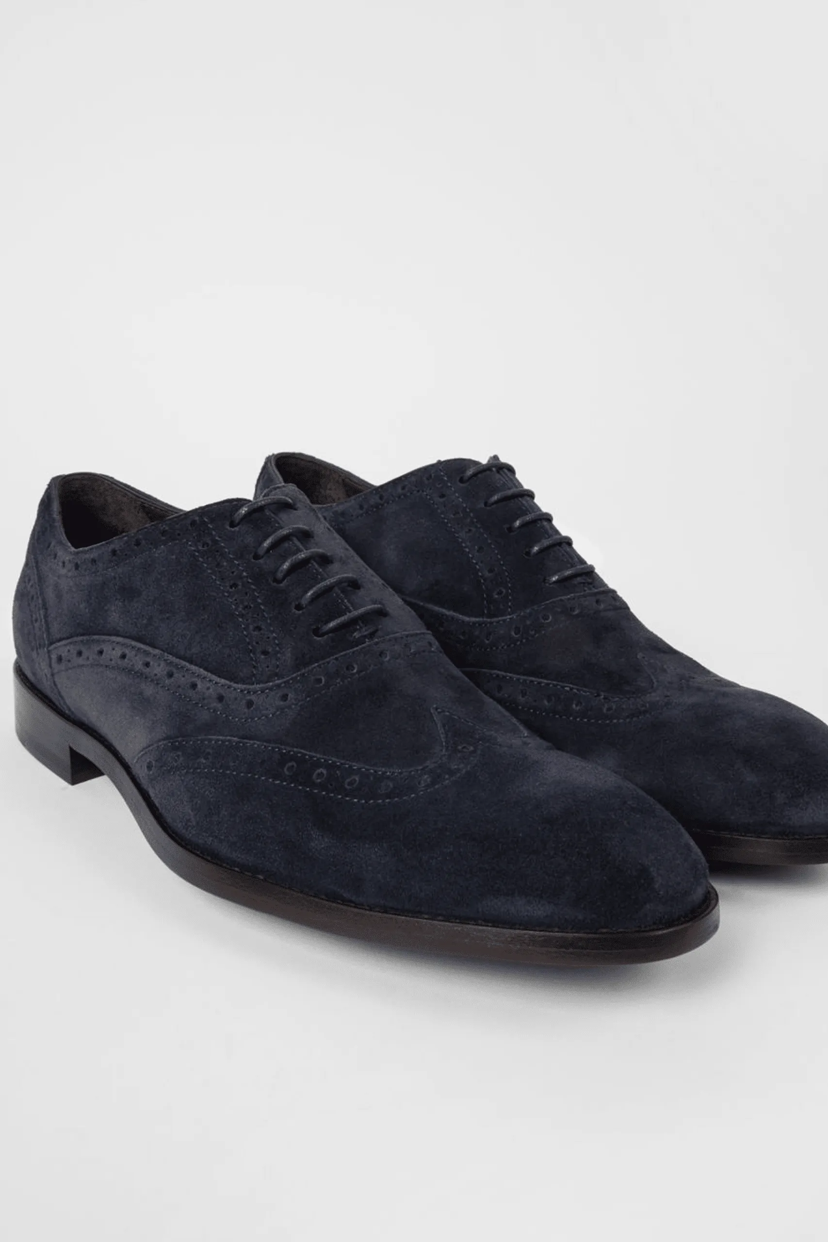 Soulier Brogues « Galileo » Daim Bleu Marine
